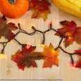 thumbnail image 3 of Novelty Lights 10 Light LED Fall Thanksgiving Mini Light Set, Outdoor Curtain Wreath Craft Bottle String Lights, Yellow/Red/Orange, Non-Connectable, Brown Wire, 5 Feet, 3 of 6