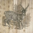 thumbnail image 3 of DeNeige, Elyse 20x20 Black Modern Framed Museum Art Print Titled - Natural History Lodge III, 3 of 5