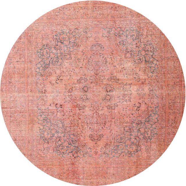 Ahgly Company Tapis d'Intérieur Lavables en Machine, Ronds Traditionnels Saumon Clair Rose, Ronds de 3'