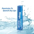 thumbnail image 4 of 4 Pack Blistex Complete Moisture Lip Protectant 0.15 oz, 4 of 4