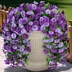 thumbnail image 1 of Flores colgantes artificiales, enredaderas, INXUGAO Morning Glory, 2 unidades, 1 of 6