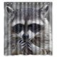 thumbnail image 1 of ABPHQTO Lovely Mapache Cortina de ducha Cortina de ducha impermeable 160x180 cm, 1 of 2
