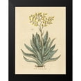 thumbnail image 2 of Wild Apple Portfolio 12x14 Black Modern Framed Museum Art Print Titled - Herbal Botanical XXXI, 2 of 5