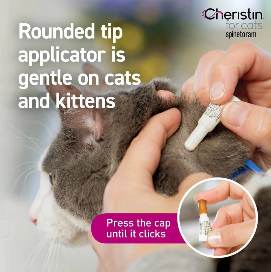 liquid flea treatment for cats