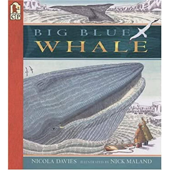 Pre-Owned Big Blue Whale Big Book 9780763612825