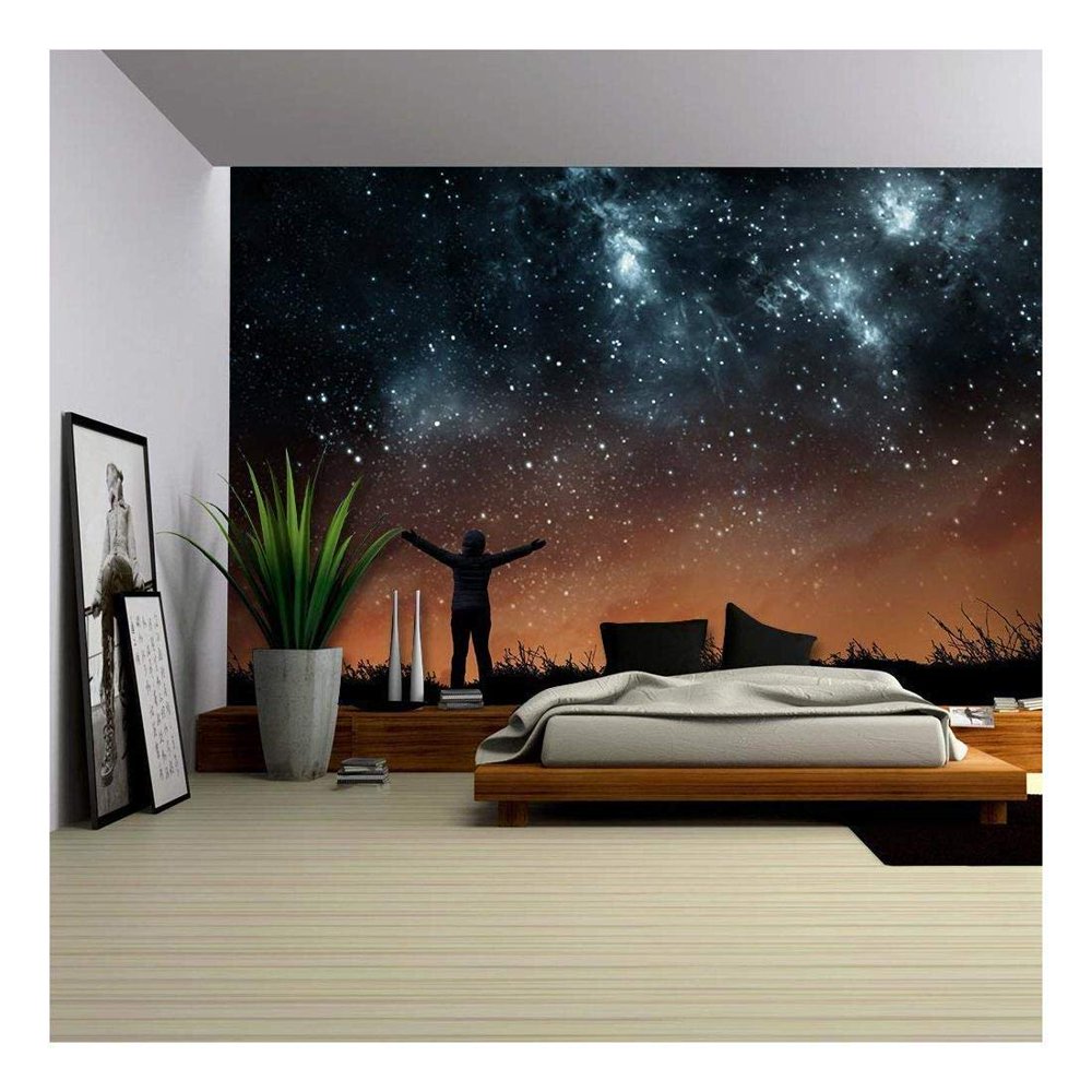Wall26 Girl Watching the Stars in Night Sky Removable Wall Mural Selfadhesive Large