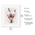 thumbnail image 2 of White Cattleya Orchid - Queen of Orchids - Hawaii - Vintage Hawaiian Airbrush Art by Ted Mundorff c.1947 - Fine Art Rolled Canvas Print 11in x 14in, 2 of 4