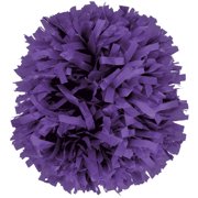 Plastic Instock Cheerleading Pom Purple