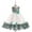 Turquoise, variant on Toddler Baby Girl Dress Embroidery Formal Wedding Party Princess Dresses Performance Group