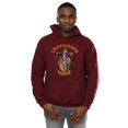 thumbnail image 2 of Harry Potter Mens Gryffindor Crest Hoodie, 2 of 3