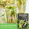 thumbnail image 3 of 2 Packs Tri-Color Mix Bush Bean Seeds - Non-GMO Heirloom Full Sun Annual Vegetable, 3 of 8