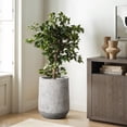 thumbnail image 5 of LuxenHome Speckled Gray and Off-White Textured Round Tapered 22-Inch Tall MgO Planter, Indoor and Outdoor, 5 of 7