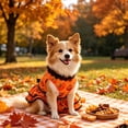 thumbnail image 7 of Aoznliie Dog Clothes, Halloween Pumpkin Lace Dress for Small Cats Dogs, S 3.3-5.5lb Cute Pet Outfit for Halloween Party & Pet Cosplay, Orange, 7 of 7