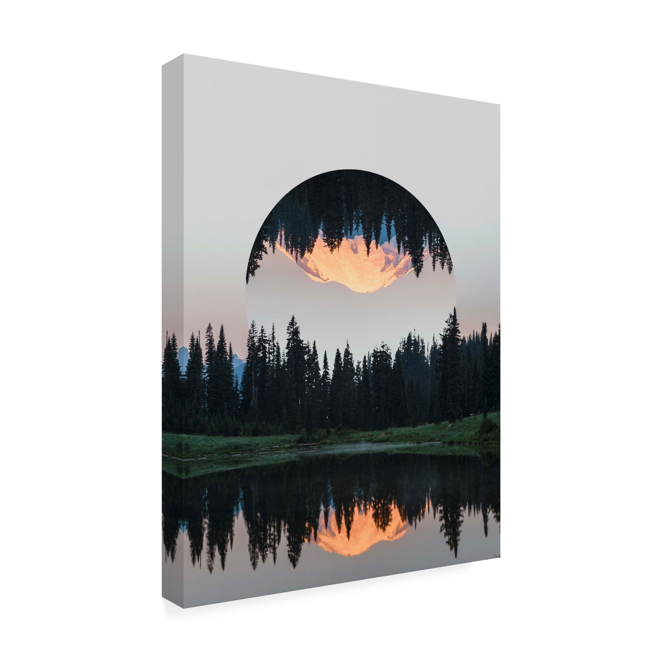 Trademark Fine Art Vision Studio  Western Treetops I Canvas Wall Art