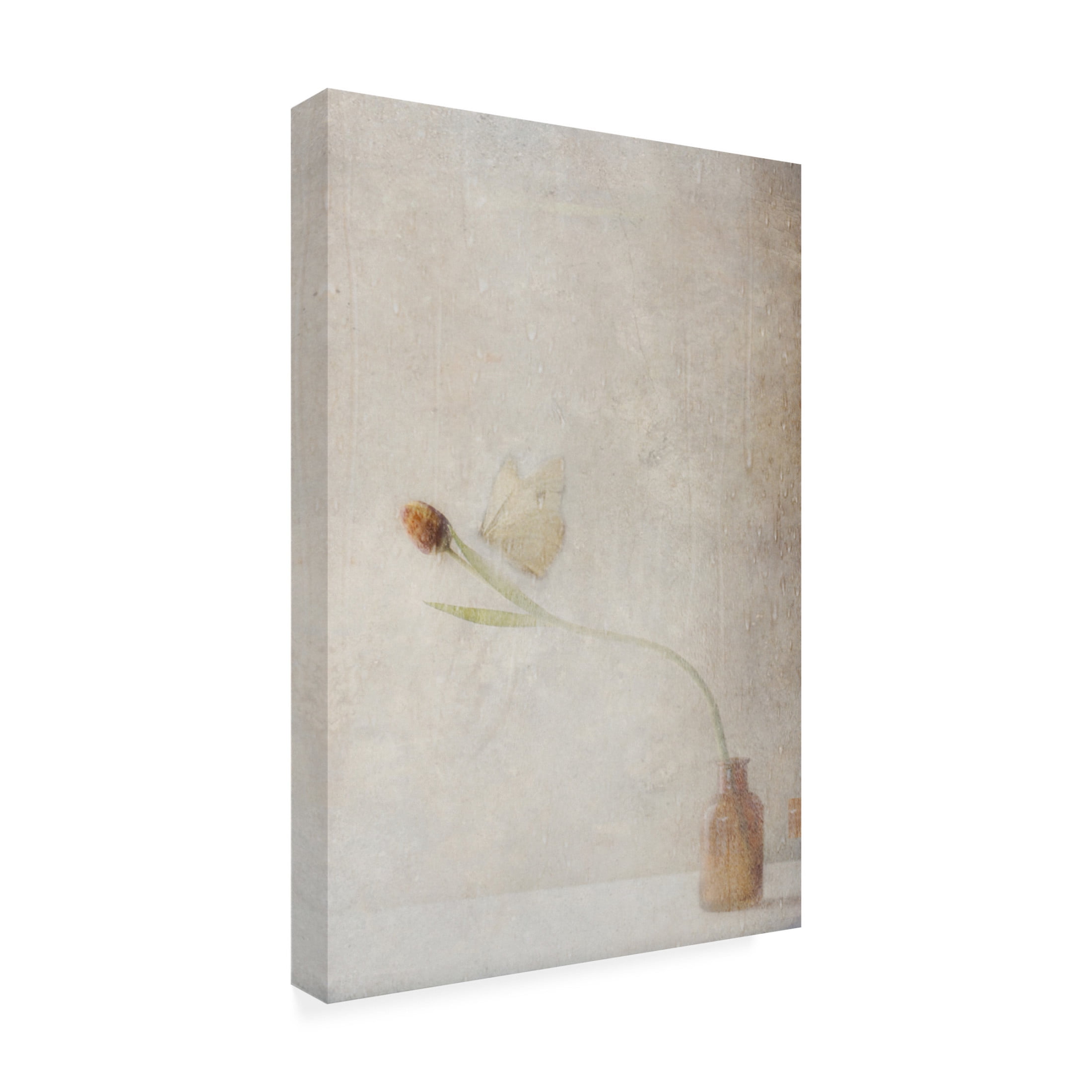Canvas Wall Art - Delphine Devos 'Ephemeral Meeting' Wall Art for Living Room, Bedroom, or Office D?cor by Trademark Fine Art - 16 x 24 Inches
