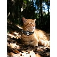 thumbnail image 6 of GPS Pet Tracker Collar for Cats Waterproof No Monthly Fee Advanced Tracking Device for Pet Safety, 6 of 6