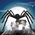 thumbnail image 1 of Halloween Spider Decorations, Realistic Hairy Spiders, Scary Spider Props for Indoor, Outdoor and Yard Creepy Decor, 1 of 10