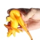 thumbnail image 4 of Figuras de animales realistas, simulación de goma TPR, figura de lagarto amarillo, juguete para aliviar el estrés, juguete de descompresión, accesorios de broma para niños, 4 of 8