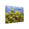 thumbnail image 2 of Allan Friedlander 'Storm Over Summer Garden' Canvas Art, 2 of 3