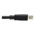 thumbnail image 7 of Tripp Lite U330-10M-1 USB 3.2 Gen 1 Active Extension Repeater Cable [M/F], 10 m [32.8 ft.], 7 of 7