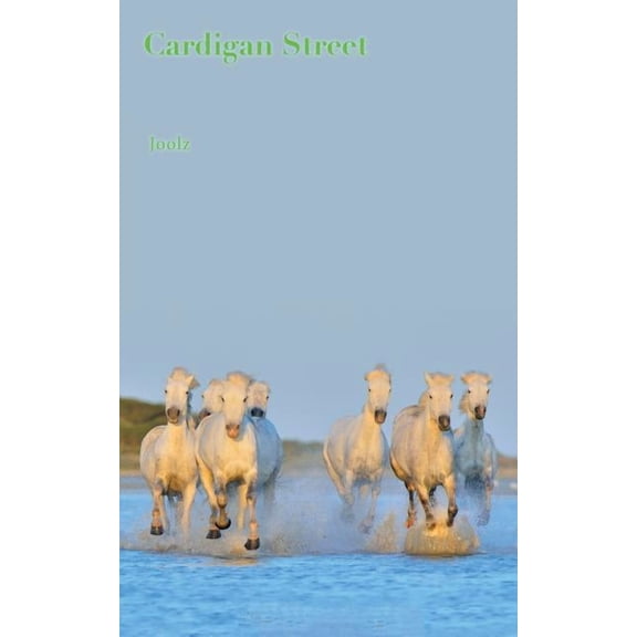 Cardigan Street: Lesbian Love Stories (Paperback)