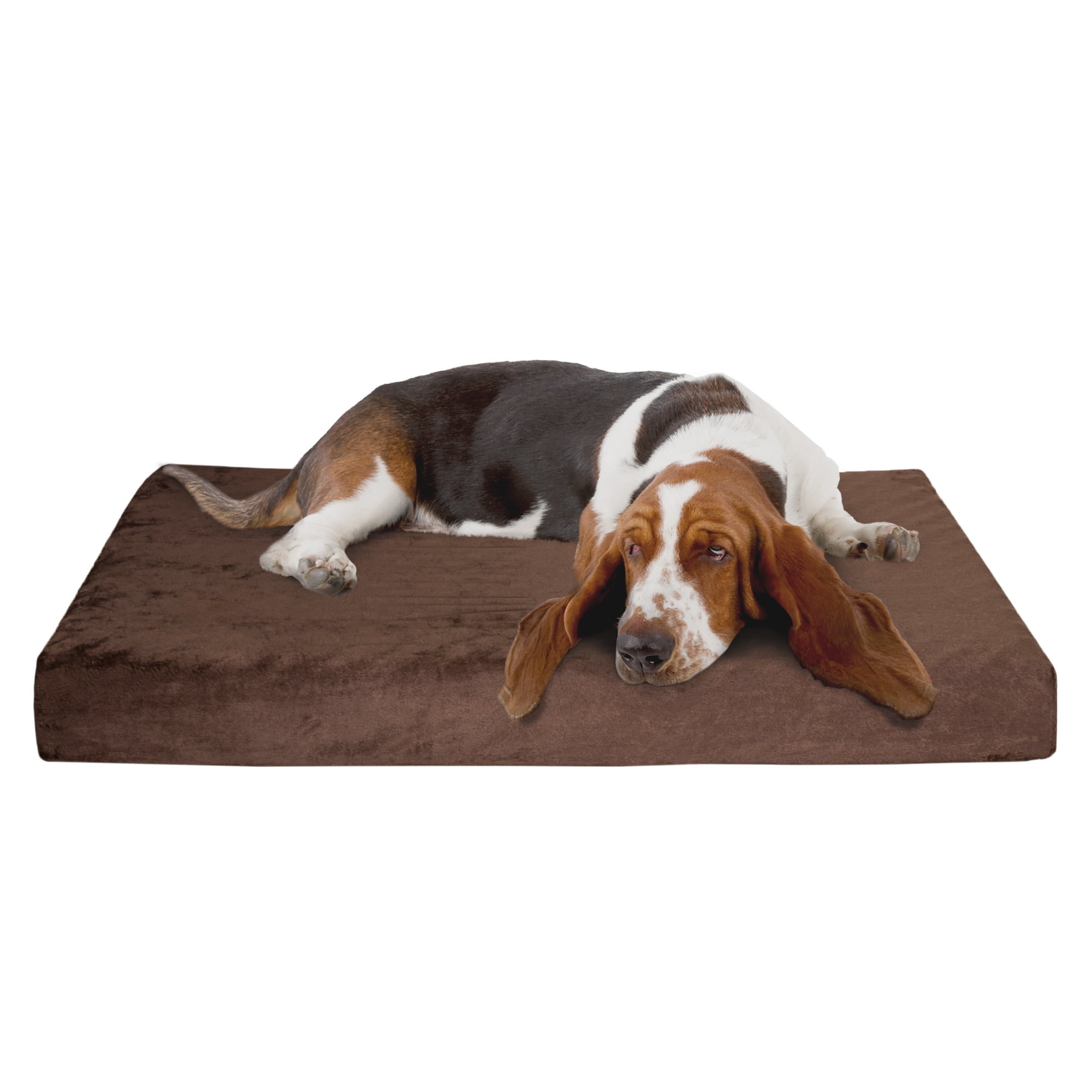 egg crate foam replacement for dog bed