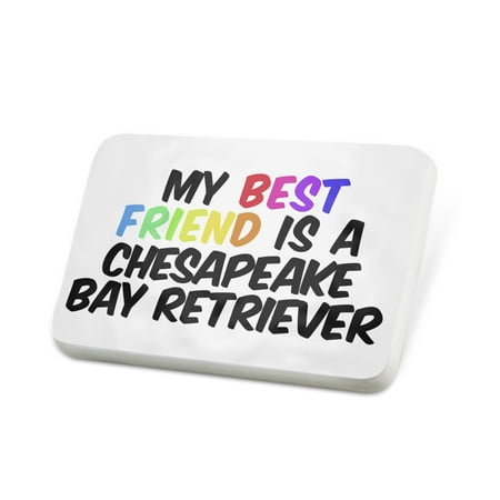 Porcelein Pin My best Friend a Chesapeake Bay Retriever Dog from United States Lapel Badge –