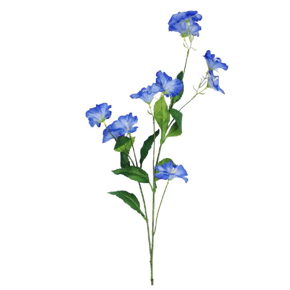 Who wrote bloom the book image