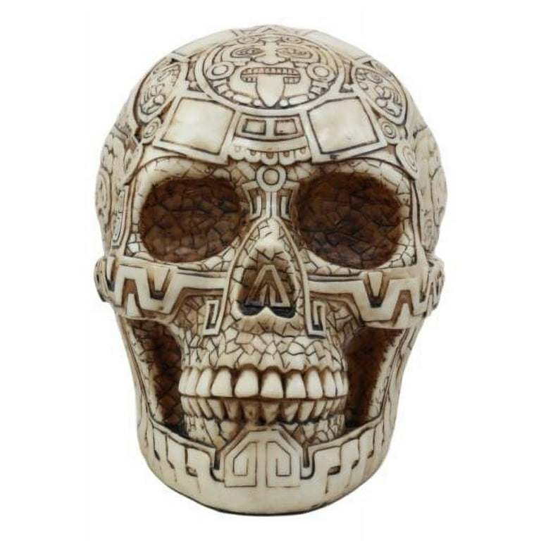 Dim moire Dig in SkullオフショルT dimmoire Dig in Skull オフショルT