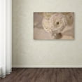 thumbnail image 4 of Trademark Fine Art Cora Niele White Persian Buttercup Still Life Canvas Wall Art - 22x32, 4 of 4