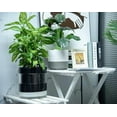 thumbnail image 4 of 10 Inch Self Watering Terracotta Planter, Black Terracotta Clay Pot with Glass Reservoir for Indoor Plants, Herbs, Flowers, Set of 1, 52-C-I-1, 4 of 6
