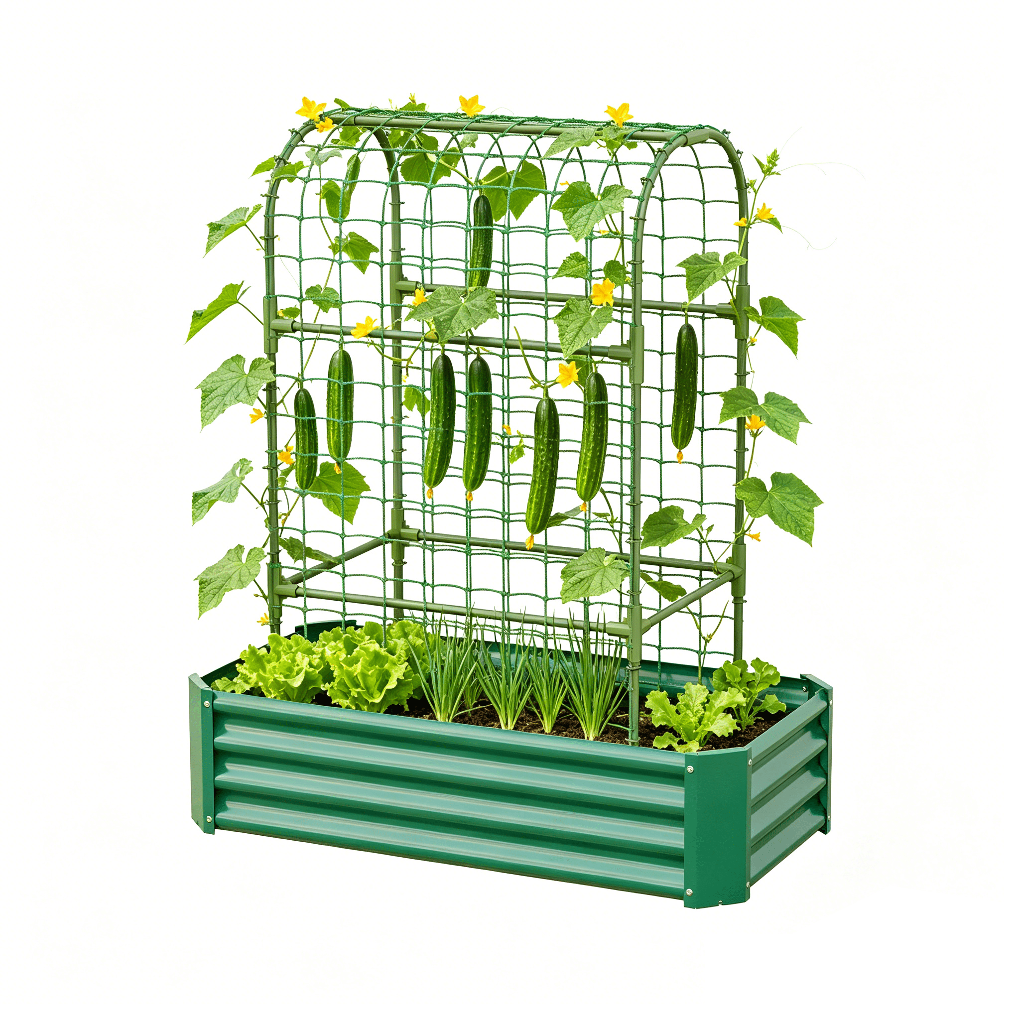 2-in-1 Galvanized Metal Raised Garden Bed with 59" Arch Trellis, 4×2×1 FT Outdoor Planter Box with Climbing Net for Vegetables Fruits Flowers