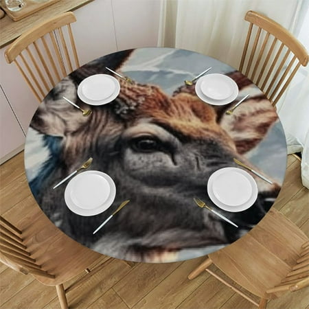 

Patifu Mountain Round Tablecloth with Elastic Edge Waterproof 100% Polyester Fiber Ideal for Indoor and Outdoor Use 31 -35
