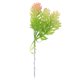 thumbnail image 2 of Decoración de Plantas Artificiales Suculentas de Simulación de 1 Pieza para Casa, Jardín, , Casa 5pcs 6 los 12cm BLESIY Plantas Suculentas de Simulación, 2 of 8