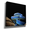 thumbnail image 2 of Epic Graffiti 'Slithering Cobalt' by Epic Portfolio Giclee Canvas Wall Art, 26"x26", 2 of 8