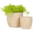 thumbnail image 4 of Abbott Collection Small Dot Pattern Planter-4" H, Beige (27-PINPOINT-142-SM), 4 of 7