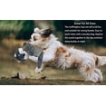 thumbnail image 2 of 5 Pack Stuffingless Dog Crinkle Paper Toys Dog Toy Dog w/Durable Liner No Stuffing Dog Toy - Dog Toys for Pets Dogs No Stuffing Dog Crinkle Sound Toy for Medium Large Dogs, 2 of 7