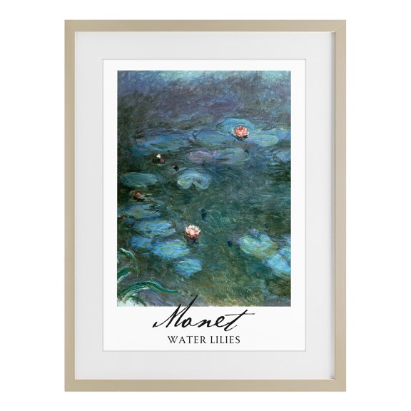 Stupell Industries Transitional Monet Water Lilies Birch Framed Print Under Glass, 17 x 23, by Vintage Hustle