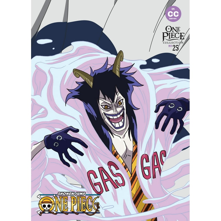 One Piece: Collection 25 - Walmart.com