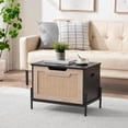 thumbnail image 1 of Bingirl Banc et Armoire de Rangement Multifonctions de 24 Pouces - Table Basse de Rangement avec Boîte de Rangement, Idéal pour la Chambre, l'Entrée et le Salon, 1 of 5