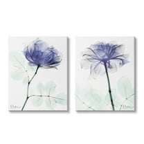 Stupell Industries Modern Purple Rose Unique Photography Design Canvas Wall Art, 16 x 20, Design by Albert Koetsier