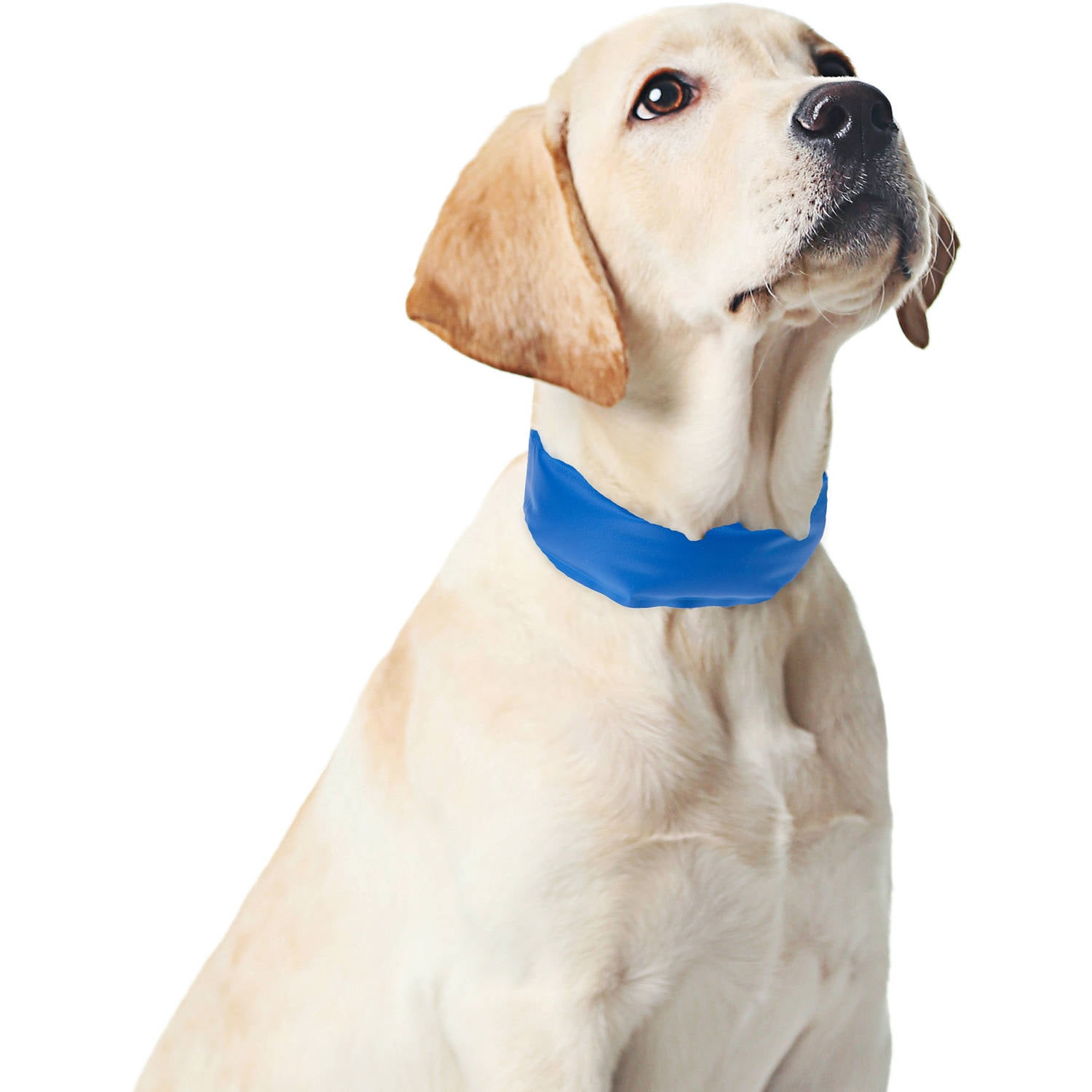 PETMAKER Cooling Pet Collar Up, Blue