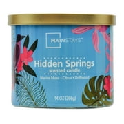 Mainstays Hidden Springs Scented Wrapped 3 Wick Candle, 14 Ounce