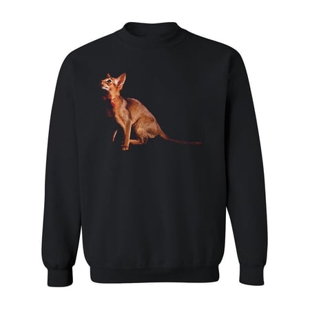 Abyssinian Cat Before Jumping Sweatshirt Men -Image by Shutterstock Male Medium