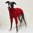 thumbnail image 3 of Italian Greyhound Sweater Whippet Turtleneck Red Christmas Knitted Sweater Warm Pet Clothing ShopWise Round, 3 of 6