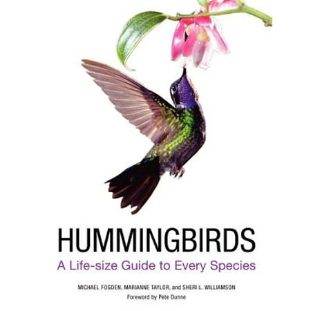- Hummingbirds : A Life-Size Guide to Every Species