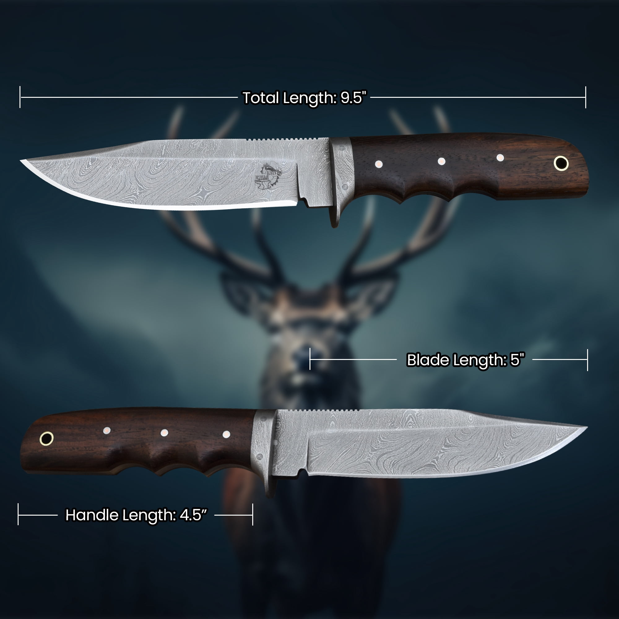 Knives Ranch 2151 Damascus Steel Hunting Knife with Rosewood Handle – Fixed Blade Utility Knife, Sharp Camping, Outdoor & Everyday Carry Knife