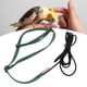 thumbnail image 3 of Correa Ajustable Para Arnés De Pájaros Para Cockatiel Lovebird, Cuerda Elástica De Entrenamiento Volador Con Hebilla De Metal, Ligero Y Cómodo, Adecuado Para Caminar Y, 3 of 7