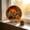 D, variant on Holiday Party Daisy Wooden Wall Decor, 2D Flat Warm Fall Rustic Hanging Ornament for Festival Decor, Thanksgiving Harvest Home Living Room & Farmhouse Decor