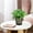 🔥 Multicolor_New, variant on Kcavykas Garden Pot Floral Plastic Flower Pot With Rose Pattern, Indoor Outdoor Decorative Lightweight Durable Personalizable Flower Pot for Home Patio Balcony Home Decor